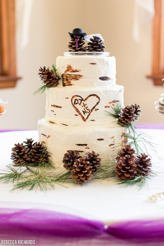 Pinecone wedding cake. Maine wedding cake. Rustic cake. Birch bark wedding cake with pinecones.