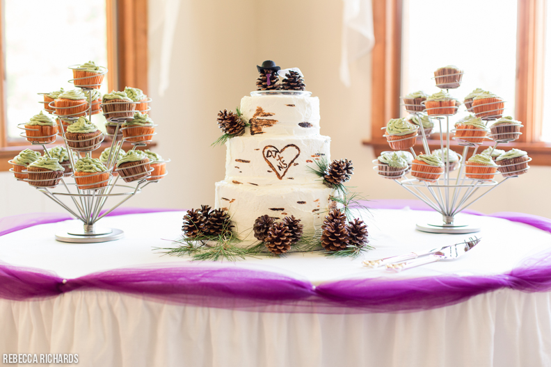 Rustic birchbark wedding cake with pinecones. Maine wedding photographer.