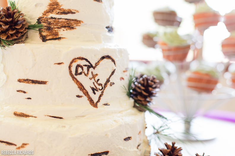 Bark wedding cake with pinecones. Rustic wedding cake. 