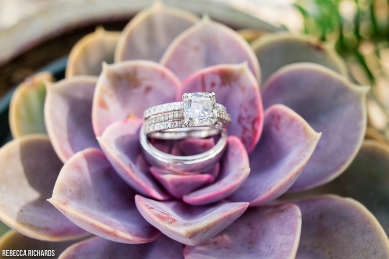 Wedding rings on succulent