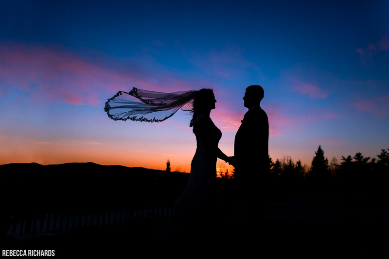 Silhouette veil wedding portrait picture | www.rebecca-richards.com